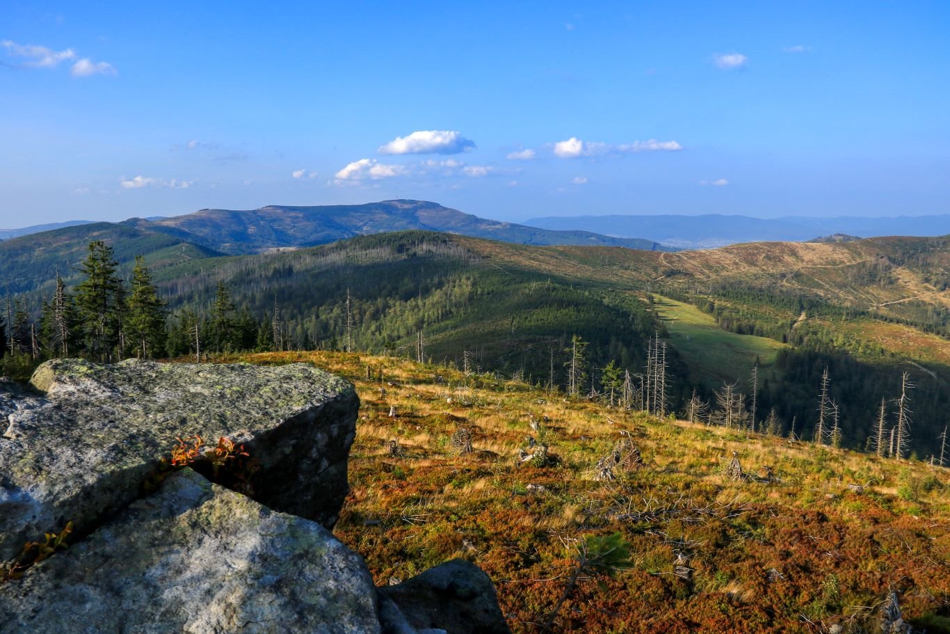 Barania Góra w Beskidzie Śląskim - widok ze szczytu