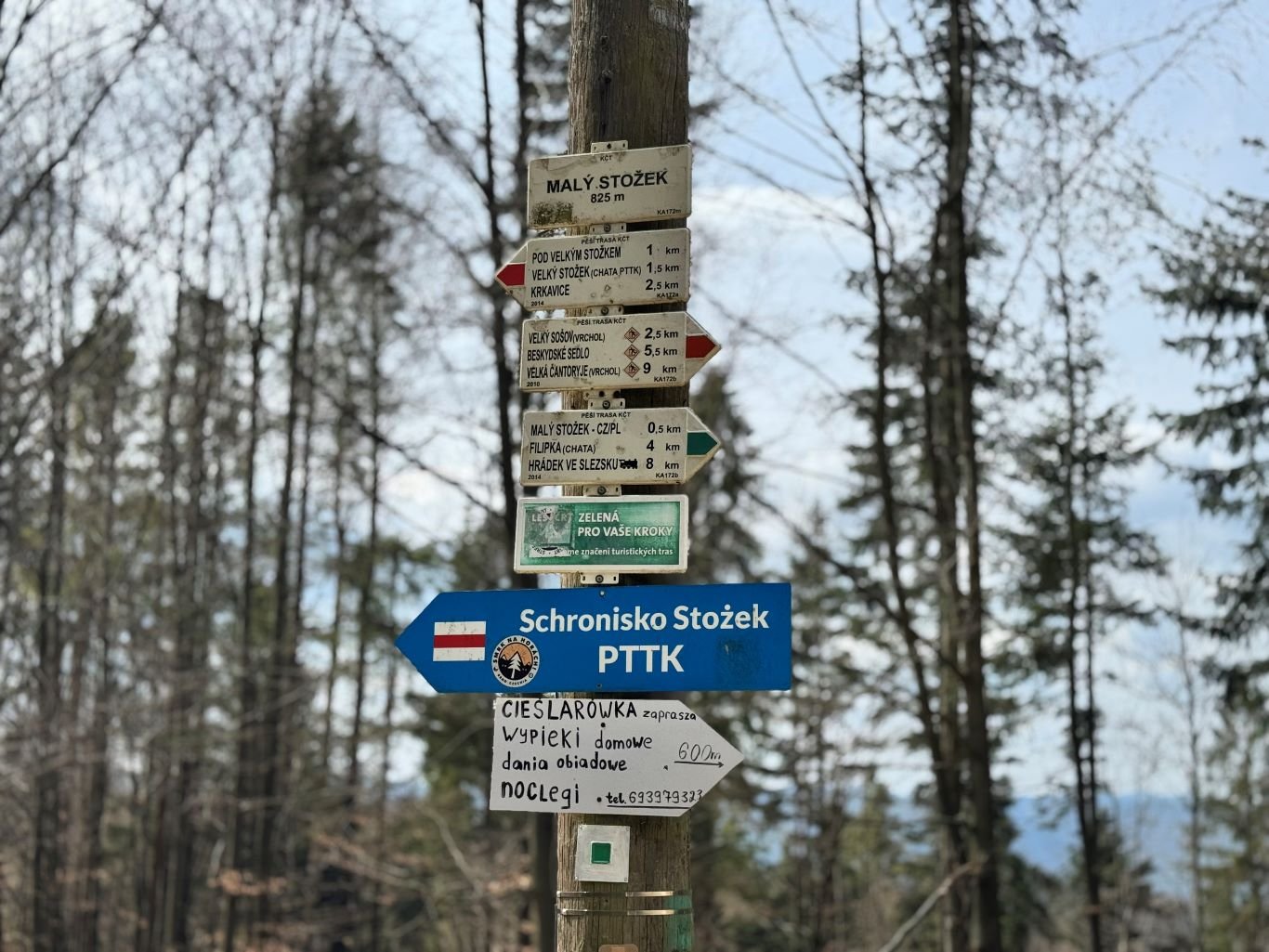 Stożek Maly w Beskidzie Śląskim