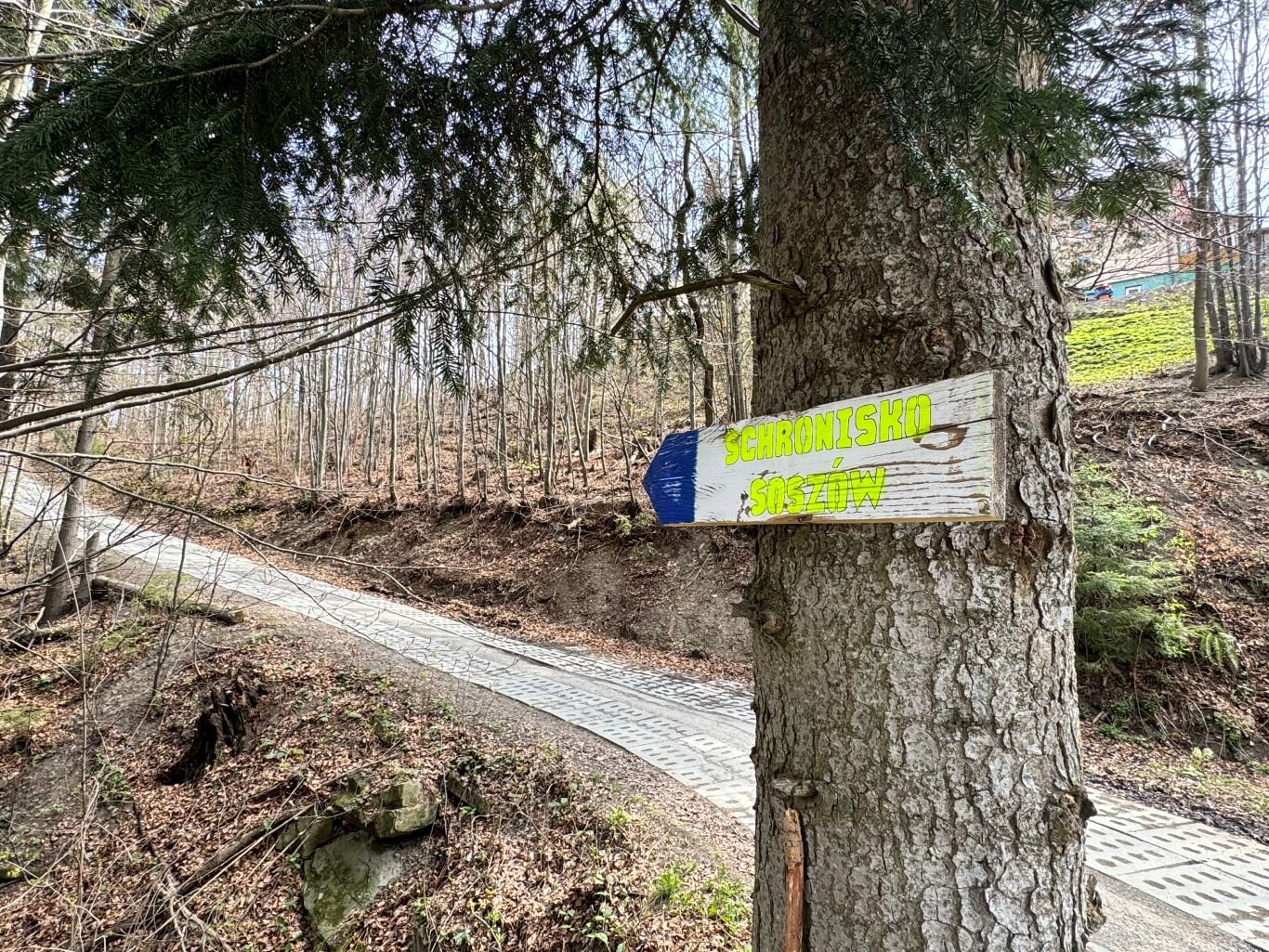 Szlak turystyczny do schroniska na Soszowie w Wiśle