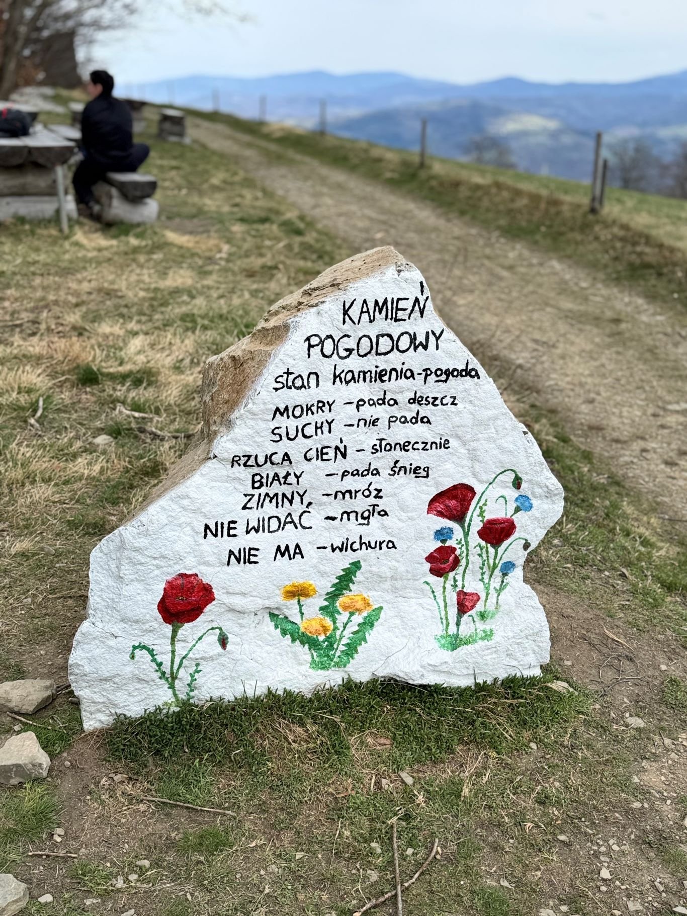 Kamień pogodowy na szczycie Cieślar