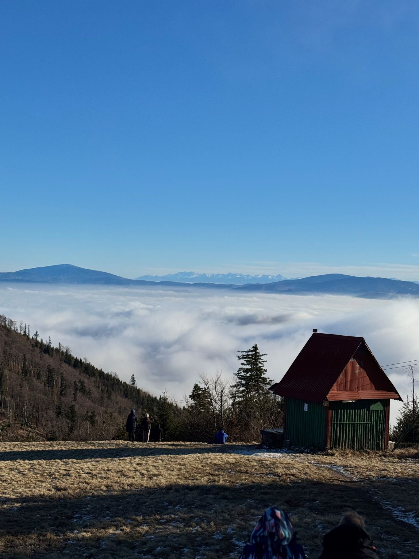 Widok na Tatry z Klimczoka