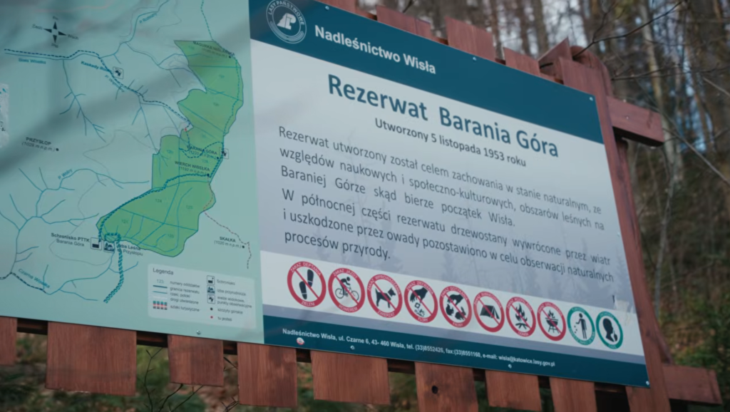 Barania Góra przez Kaskady Rodła - niebieski szlak 19 Barania Gora Rezerwat Barania Góra przez Kaskady Rodła - niebieski szlak