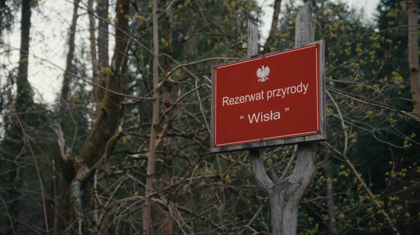 Barania Góra przez Kaskady Rodła - niebieski szlak 11 Barania Gora Rezerwat Wisly Barania Góra przez Kaskady Rodła - niebieski szlak